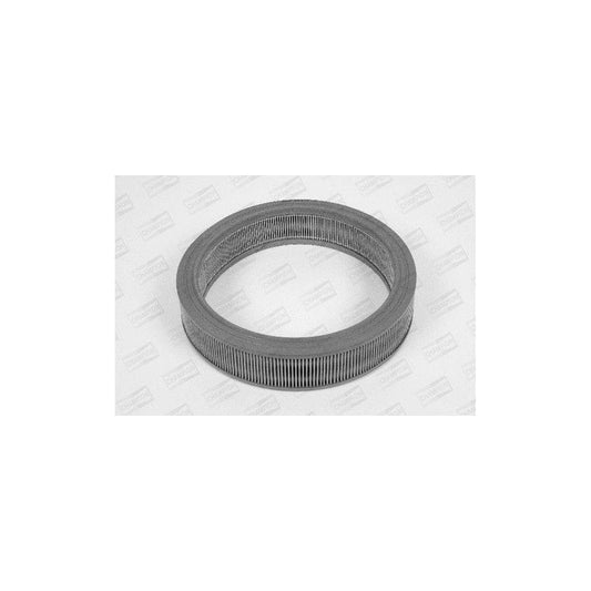 Champion W118/606 Air Filter