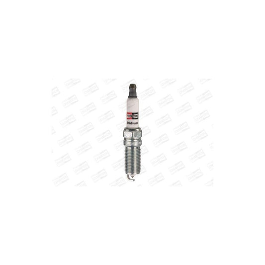Champion Platinum Ct Oe189/R04 Spark Plug