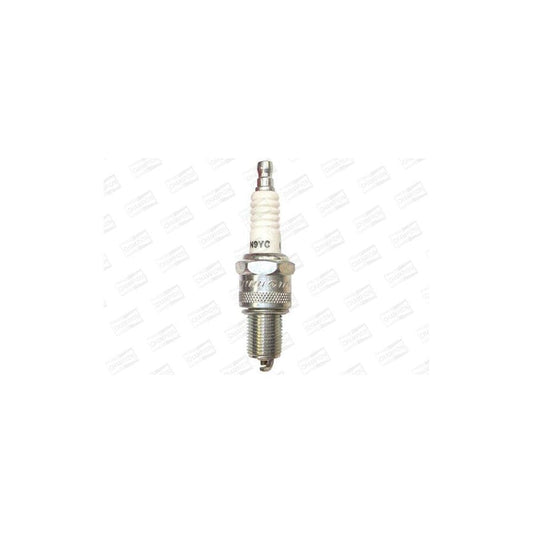 Champion Powersport Oe001/R04 Spark Plug