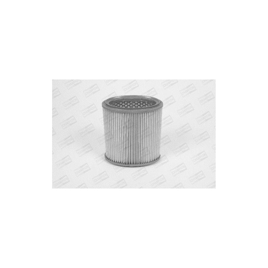 Champion W177/606 Air Filter