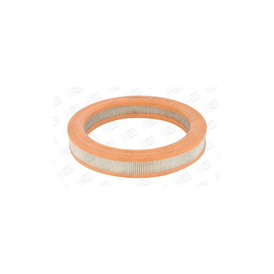 Champion CAF100155R Air Filter