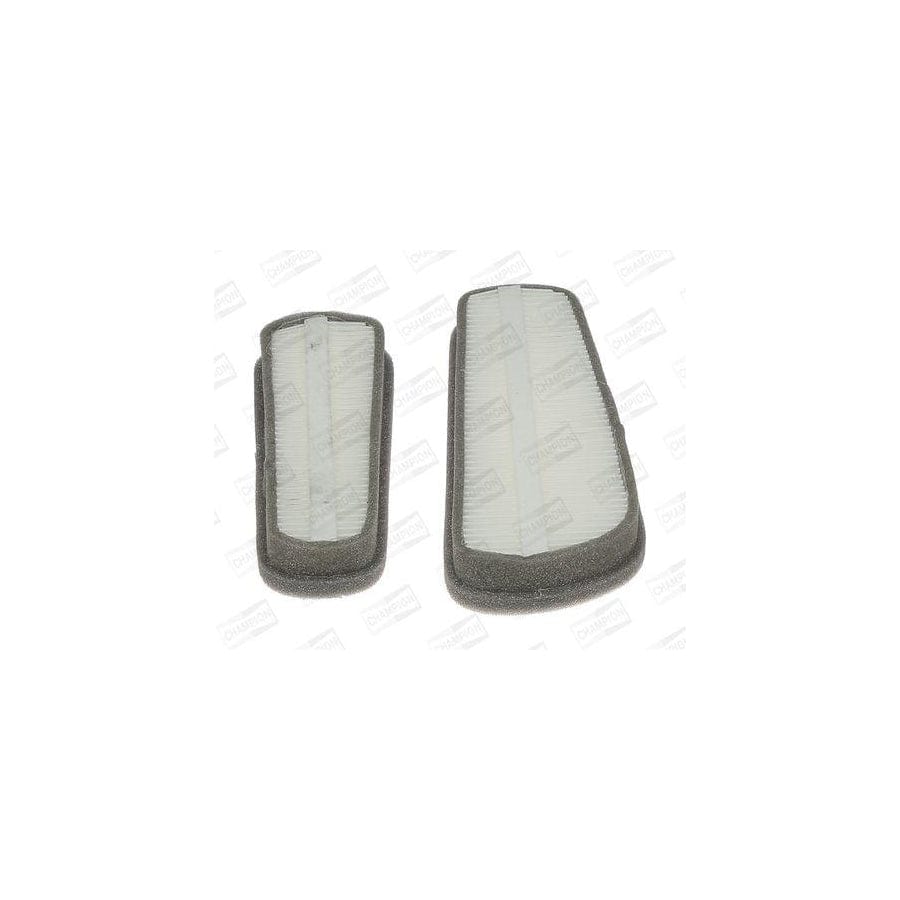 Champion CCF0377 Pollen Filter