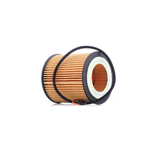 Champion Eon Titan COF100571E Oil Filter