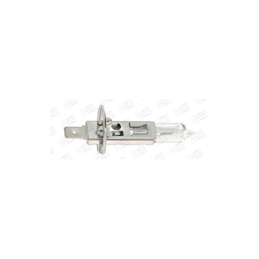 Champion Version: Standard CBH01S Bulb, Spotlight